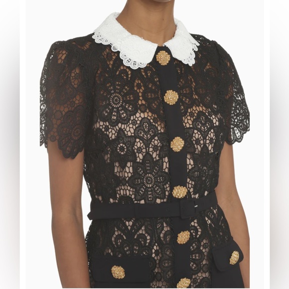 Self-Portrait Lace Minidress NWT size 2 (UK 6) - Picture 4 of 4